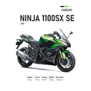 Vinilo Adhesivo Kawasaki Ninja 1100 SX SE MotoBile 01595