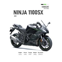 Vinilo Adhesivo Kawasaki Ninja 1100 SX MotoBile 01597