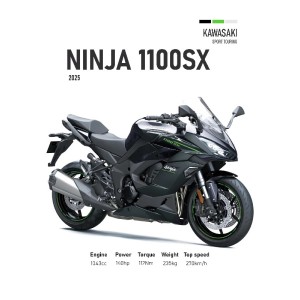 Vinilo Adhesivo Kawasaki Ninja 1100 SX MotoBile 01597
