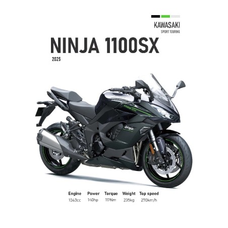 Vinilo Adhesivo Kawasaki Ninja 1100 SX MotoBile 01597