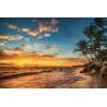 Vinilo Adhesivo Palm Beach Lugares Coleccion Pintura 0304