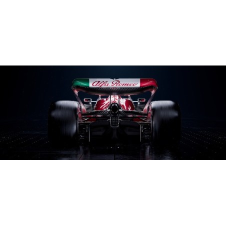 Vinilo Adhesivo Formula Uno 01261