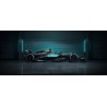 Vinilo Adhesivo Formula Uno 01288