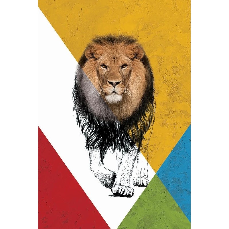 Vinillos Leones