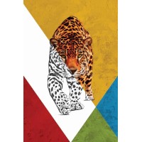 Vinilos Tigres