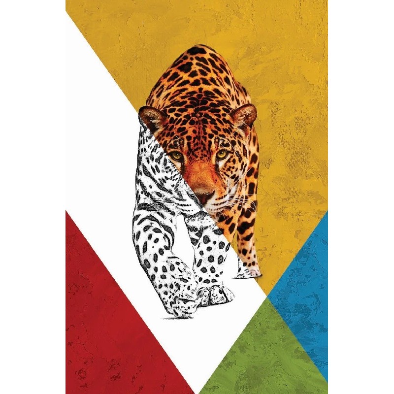 Vinilos Tigres
