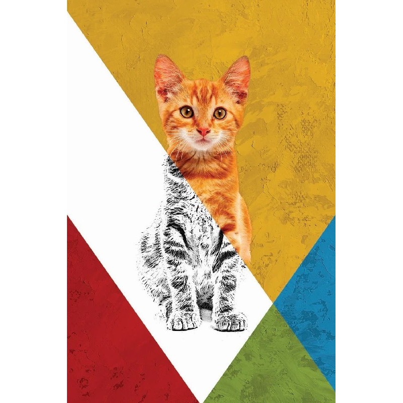 Vinilos Gatos