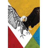 Vinilos Aguilas
