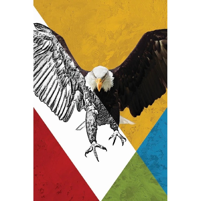 Vinilos Aguilas