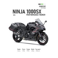 Kawasaki Ninja 1000sx
