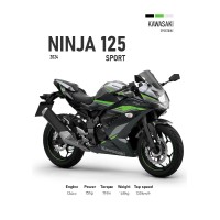 Kawasaki Ninja 125