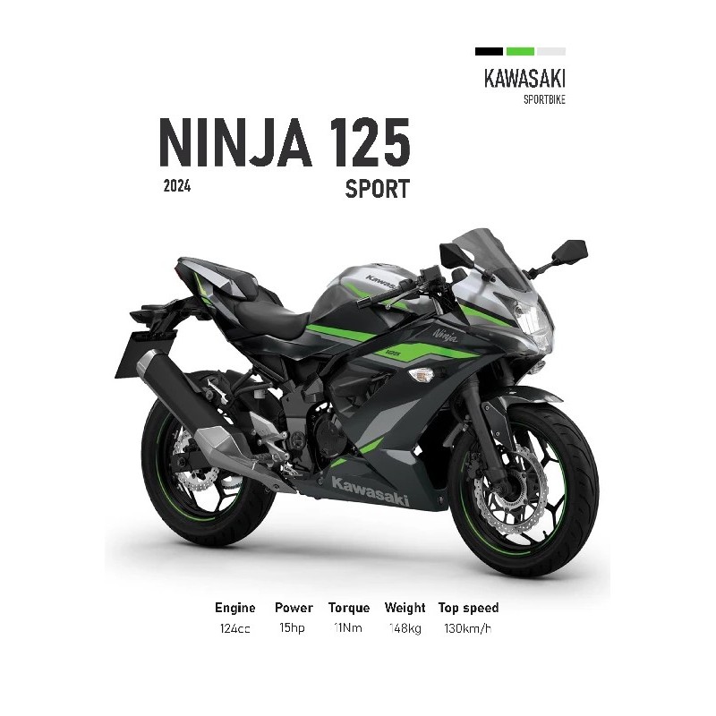 Kawasaki Ninja 125