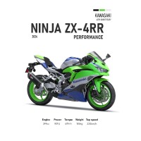 Kawasaki Ninja ZX-4RR