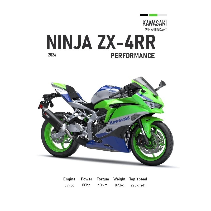 Kawasaki Ninja ZX-4RR