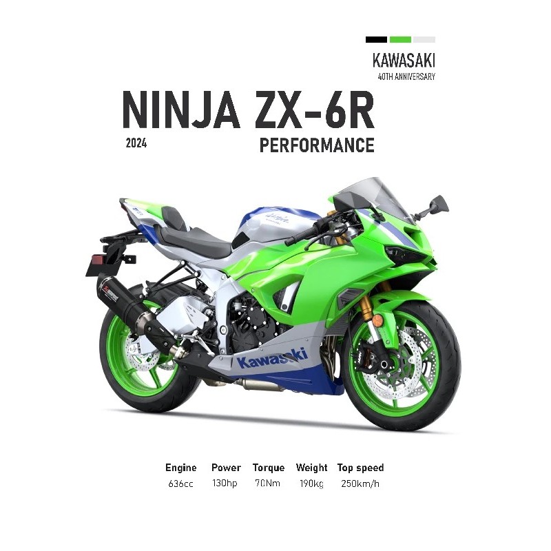 Kawasaki Ninja ZX-6R