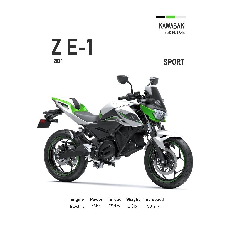 kawasaki Z E-1